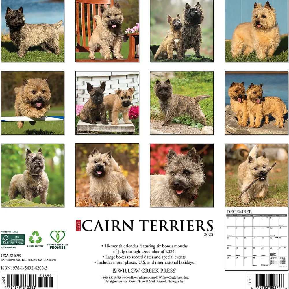 2025 Calendars|Willow Creek 2025 Just Cairn Terriers 12" x 12" Monthly Wall Calendar (42083)