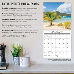 2025 Calendars|Willow Creek 2025 Just Calico Cats 12