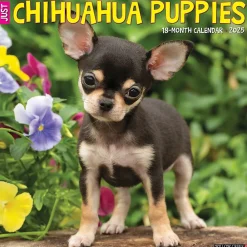 2025 Calendars|Willow Creek 2025 Just Chihuahua Puppies 12" x 12" Monthly Wall Calendar (42304)