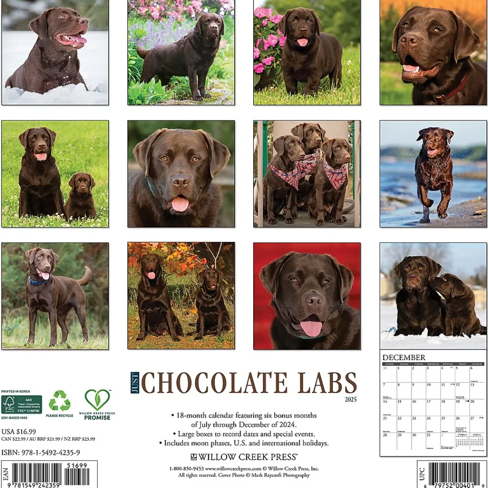 2025 Calendars|Willow Creek 2025 Just Chocolate Labs 12" x 12" Monthly Wall Calendar (42359)