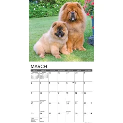 2025 Calendars|Willow Creek 2025 Just Chow Chows 12
