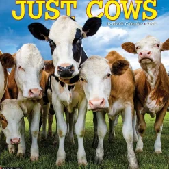 2025 Calendars|Willow Creek 2025 Just Cows 12" x 12" Monthly Wall Calendar (42625)