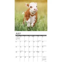 2025 Calendars|Willow Creek 2025 Just Cows 12