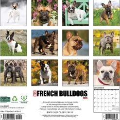 2025 Calendars|Willow Creek 2025 Just French Bulldogs 12" x 12" Monthly Wall Calendar (42953)