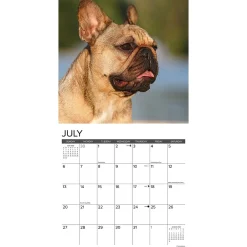2025 Calendars|Willow Creek 2025 Just French Bulldogs 12