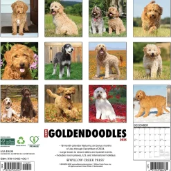 2025 Calendars|Willow Creek 2025 Just Goldendoodles 12" x 12" Monthly Wall Calendar (43127)