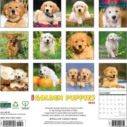 2025 Calendars|Willow Creek 2025 Just Golden Puppies 12" x 12" Monthly Wall Calendar (43097)
