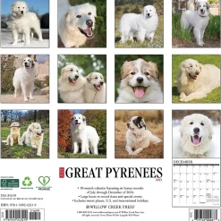 2025 Calendars|Willow Creek 2025 Just Great Pyrenees 12" x 12" Monthly Wall Calendar (43219)