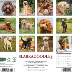 2025 Calendars|Willow Creek 2025 Just Labradoodles 12" x 12" Monthly Wall Calendar (43660)