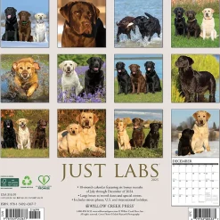 2025 Calendars|Willow Creek 2025 Just Labs 12" x 12" Monthly Wall Calendar (43677)