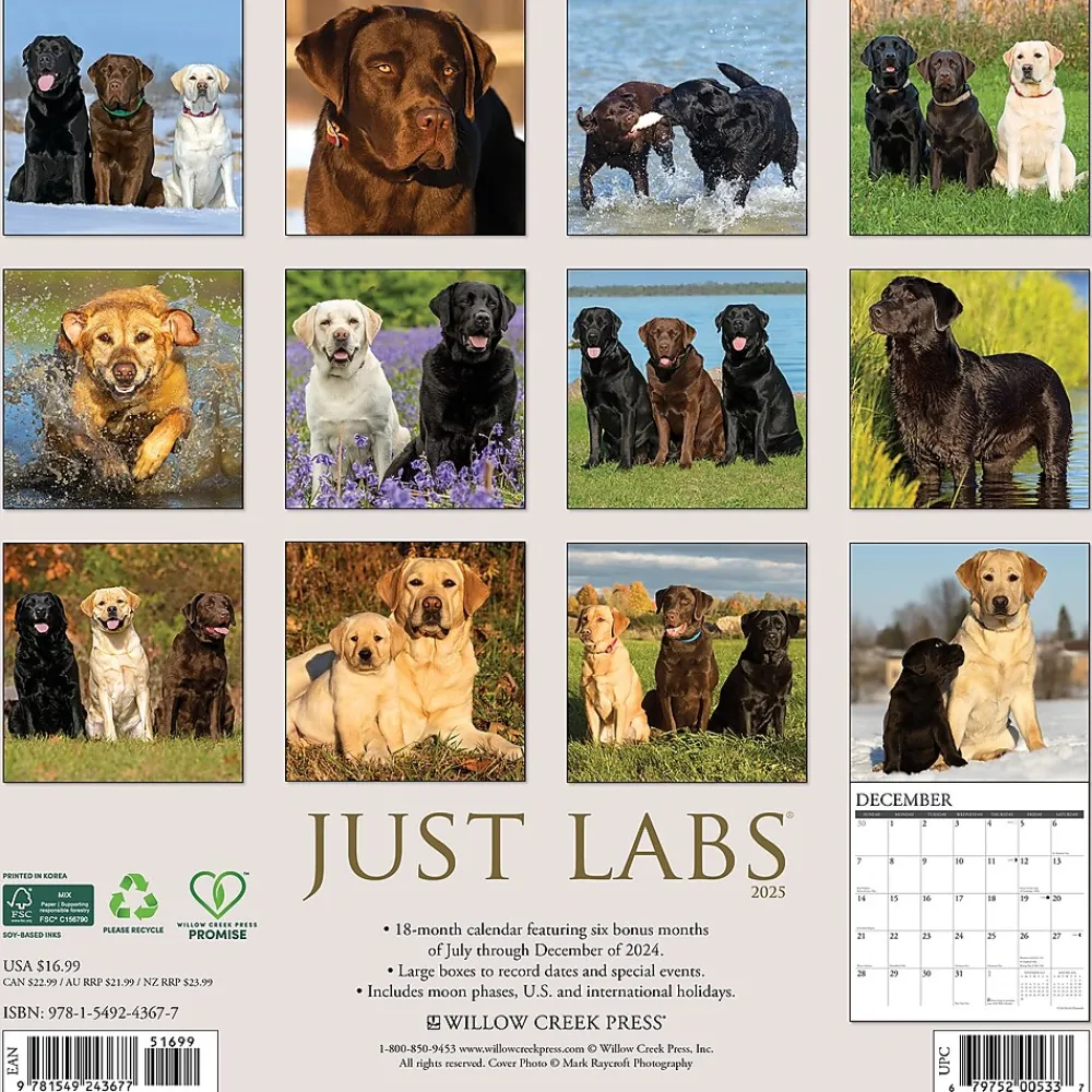 2025 Calendars|Willow Creek 2025 Just Labs 12" x 12" Monthly Wall Calendar (43677)