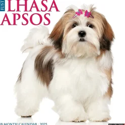 2025 Calendars|Willow Creek 2025 Just Lhasa Apsos 12" x 12" Monthly Wall Calendar (43707)
