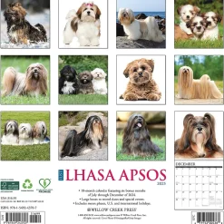 2025 Calendars|Willow Creek 2025 Just Lhasa Apsos 12" x 12" Monthly Wall Calendar (43707)