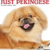 2025 Calendars|Willow Creek 2025 Just Pekingese 12" x 12" Monthly Wall Calendar (44407)