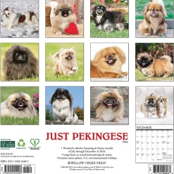 2025 Calendars|Willow Creek 2025 Just Pekingese 12" x 12" Monthly Wall Calendar (44407)