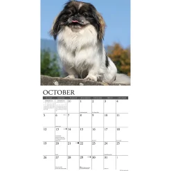 2025 Calendars|Willow Creek 2025 Just Pekingese 12