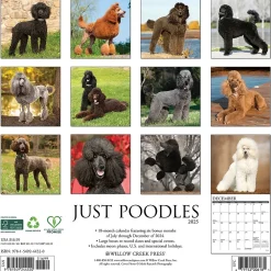 2025 Calendars|Willow Creek 2025 Just Poodles 12" x 12" Monthly Wall Calendar (44520)