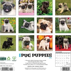 2025 Calendars|Willow Creek 2025 Just Pug Puppies 12" x 12" Monthly Wall Calendar (44568)