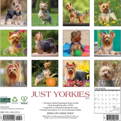 2025 Calendars|Willow Creek 2025 Just Yorkies 12" x 12" Monthly Wall Calendar (45558)