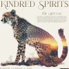 2025 Calendars|Willow Creek 2025 Kindred Spirits 12" x 12" Monthly Wall Calendar (48320)
