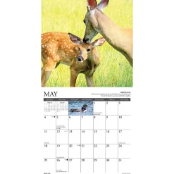 2025 Calendars|Willow Creek 2025 Life in the Northwoods 12