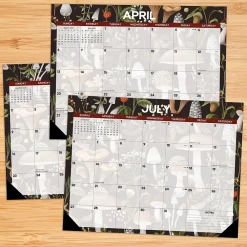 2025 Calendars|Willow Creek 2025 Mushrooms 22" x 17" Monthly Desk or Wall Calendar (47927)