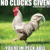 2025 Calendars|Willow Creek 2025 No Clucks Given 12" x 12" Monthly Wall Calendar (44216)