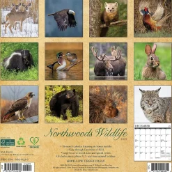 2025 Calendars|Willow Creek 2025 Northwoods Wildlife 12" x 12" Monthly Wall Calendar (44230)