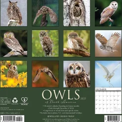 2025 Calendars|Willow Creek 2025 Owls 12" x 12" Monthly Wall Calendar (44315)