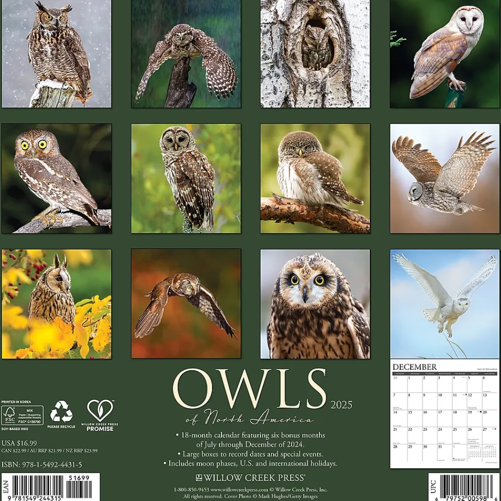 2025 Calendars|Willow Creek 2025 Owls 12" x 12" Monthly Wall Calendar (44315)