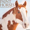2025 Calendars|Willow Creek 2025 Paint Horses 12" x 12" Monthly Wall Calendar (44353)