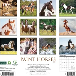 2025 Calendars|Willow Creek 2025 Paint Horses 12" x 12" Monthly Wall Calendar (44353)