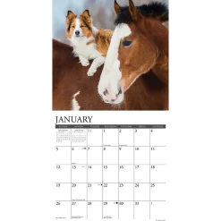 2025 Calendars|Willow Creek 2025 Pet Pals 12