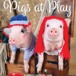 2025 Calendars|Willow Creek 2025 Pigs at Play 12" x 12" Monthly Wall Calendar (44469)