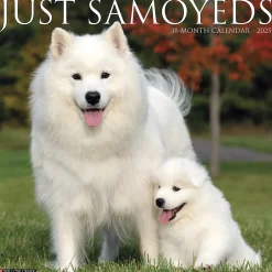 2025 Calendars|Willow Creek 2025 Press Just Samoyeds 2025 Wall Calendar 12" x 12" (44735)