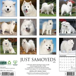 2025 Calendars|Willow Creek 2025 Press Just Samoyeds 2025 Wall Calendar 12" x 12" (44735)