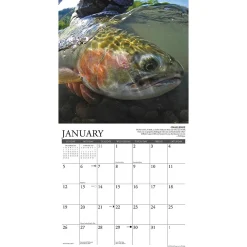 2025 Calendars|Willow Creek 2025 Press What Fly Fishing Teaches Us 2025 Wall Calendar 12