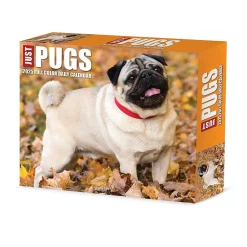 2025 Calendars|Willow Creek 2025 Pugs 6" x 5.5" Day-to-Day Calendar (40997)
