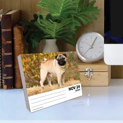 2025 Calendars|Willow Creek 2025 Pugs 6
