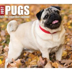2025 Calendars|Willow Creek 2025 Pugs 6