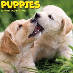 2025 Calendars|Willow Creek 2025 Puppies 7" x 7" Yearly Wall Calendar (45862)