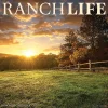2025 Calendars|Willow Creek 2025 RanchLife 2025 12" x 12" Yearly Wall Calendar (46524)