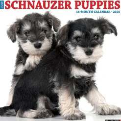2025 Calendars|Willow Creek 2025 Schnauzer Puppies 12" x 12" Yearly Wall Calendar (44759)