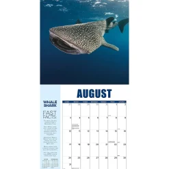 2025 Calendars|Willow Creek 2025 Shark Year 12