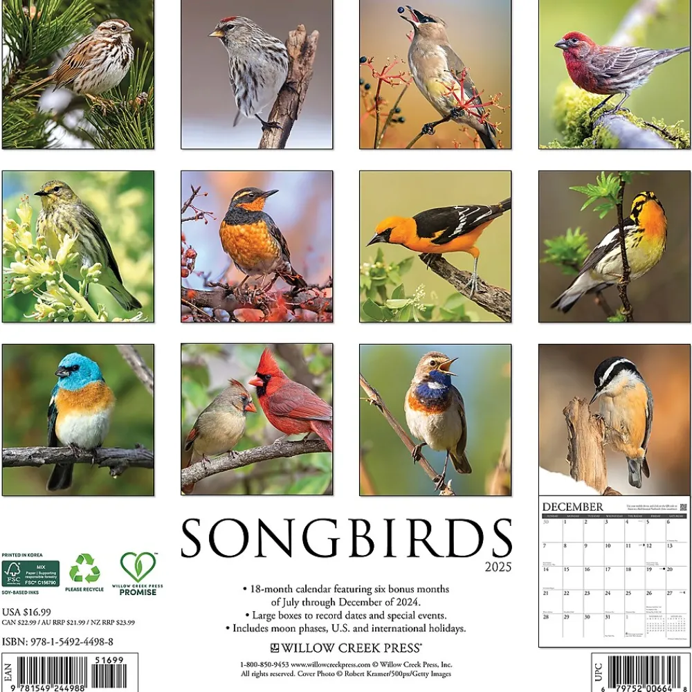 2025 Calendars|Willow Creek 2025 Songbirds 12" x 12" Monthly Wall Calendar (44988)