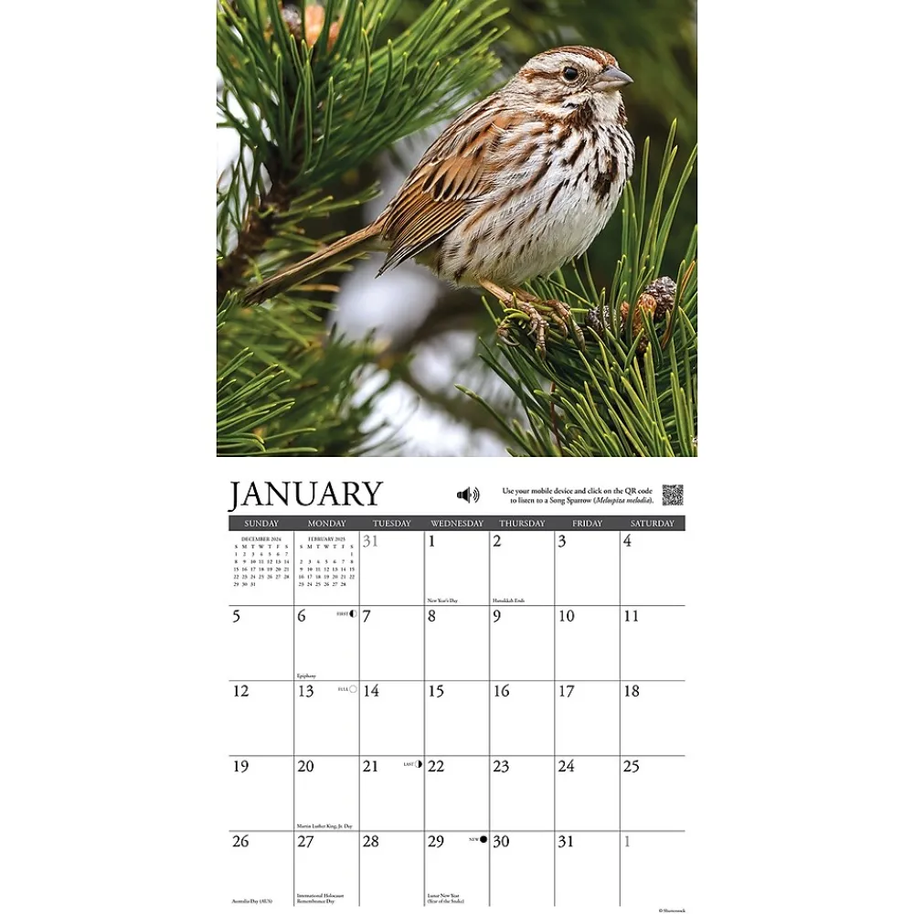 2025 Calendars|Willow Creek 2025 Songbirds 12" x 12" Monthly Wall Calendar (44988)