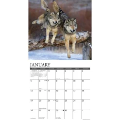 2025 Calendars|Willow Creek 2025 Spirit of the Wolf 12