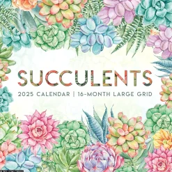 2025 Calendars|Willow Creek 2025 Succulents 12" x 12" Yearly Wall Calendar (46616)