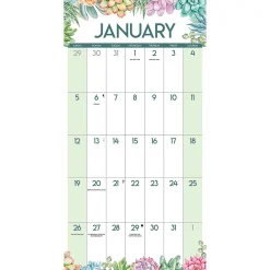 2025 Calendars|Willow Creek 2025 Succulents 12
