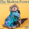 2025 Calendars|Willow Creek 2025 The Modern Ferret 12" x 12" Monthly Wall Calendar (43967)